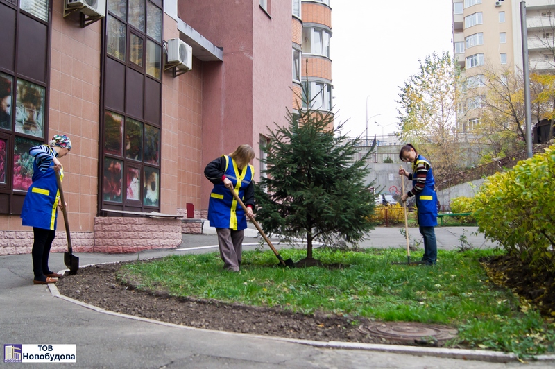 ТОВ Новобудова, благоустрій