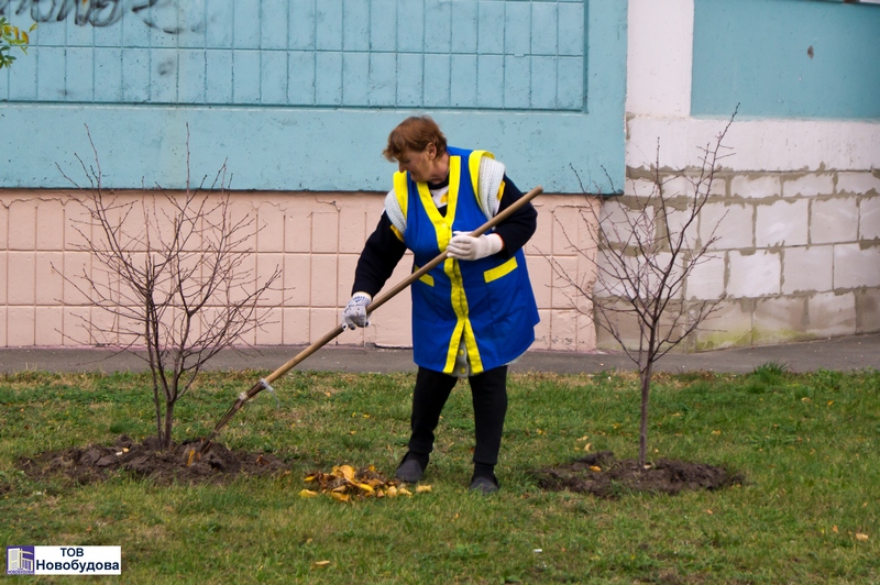 ТОВ Новобудова, благоустрій