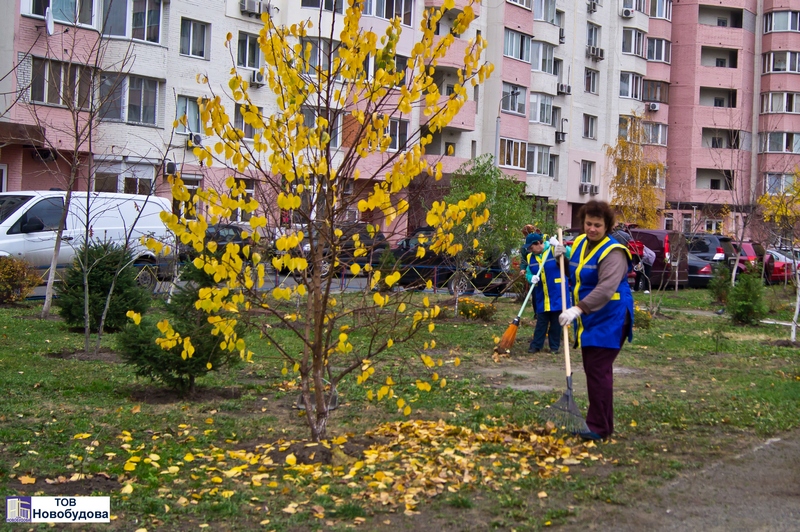 ТОВ Новобудова, благоустрій