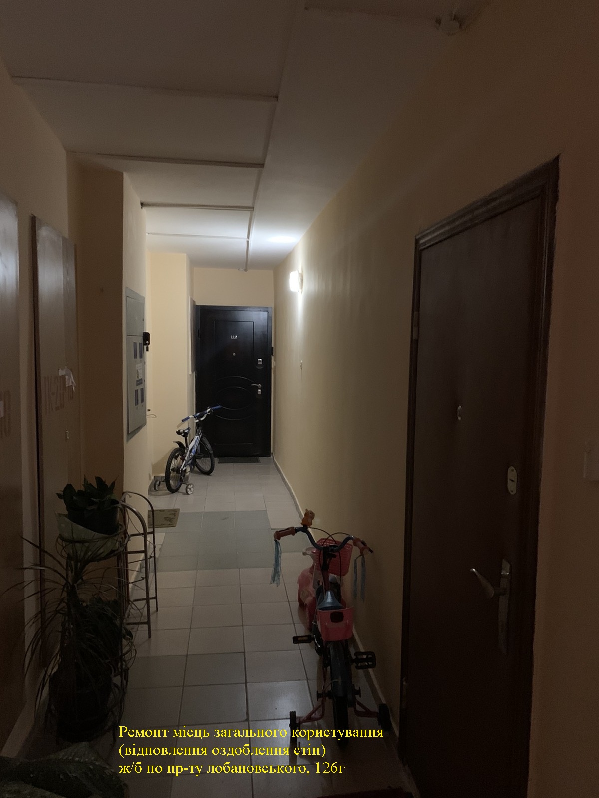 Л126.3