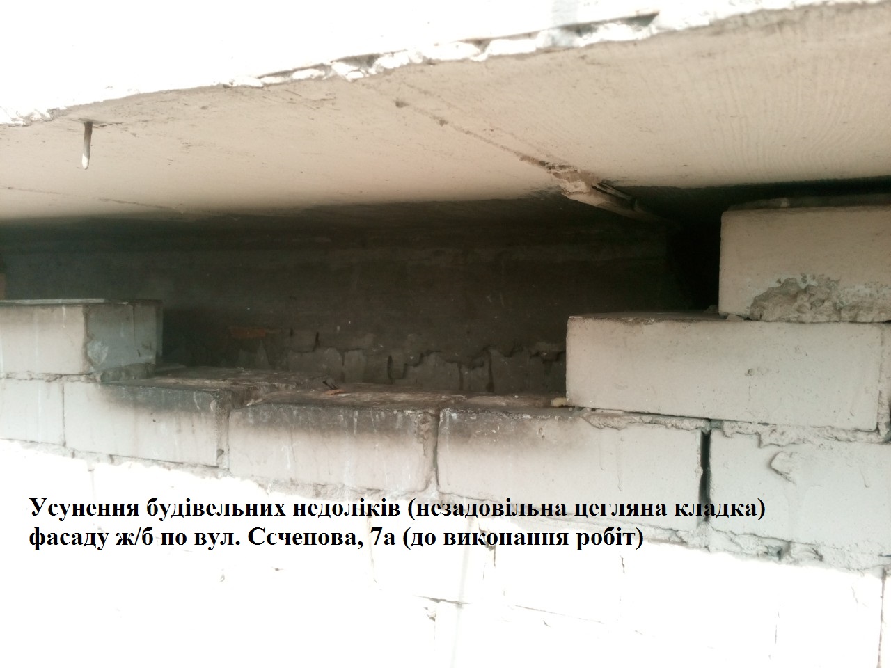Се7а.0